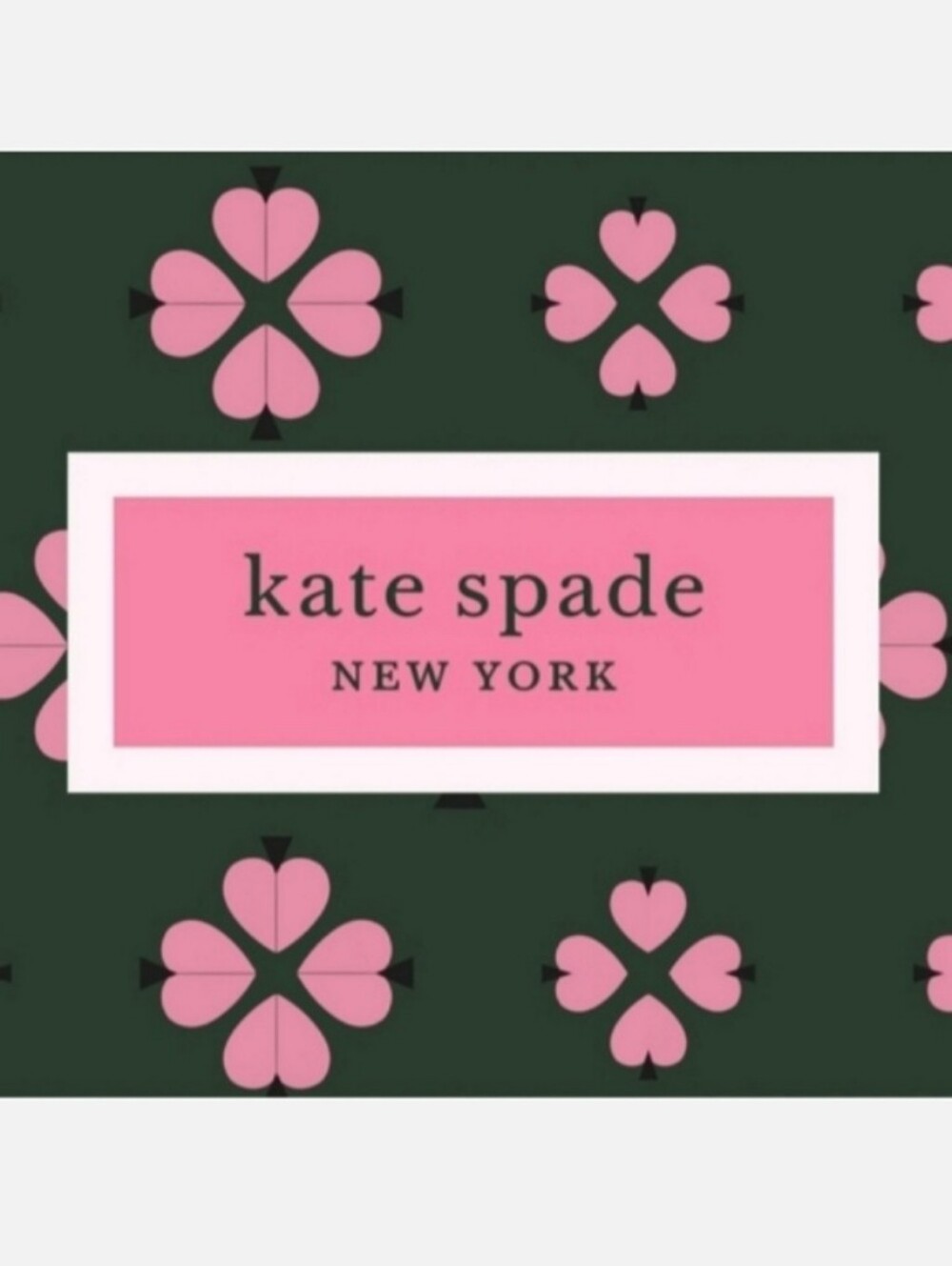 Kate Spade Leslie Bag - Picture 6 of 17